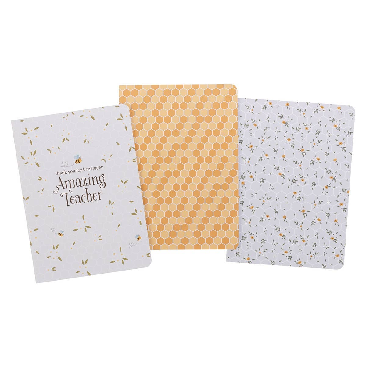 Notebook Set 3pc Amazing Teacher