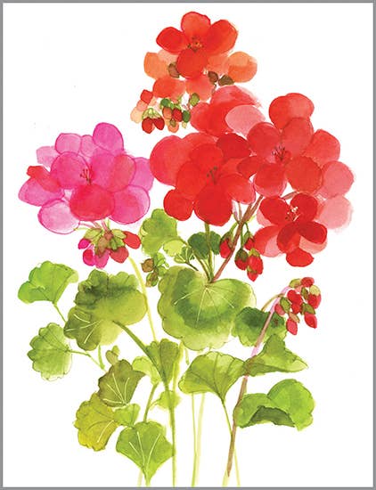 Blank Note Card - Geraniums