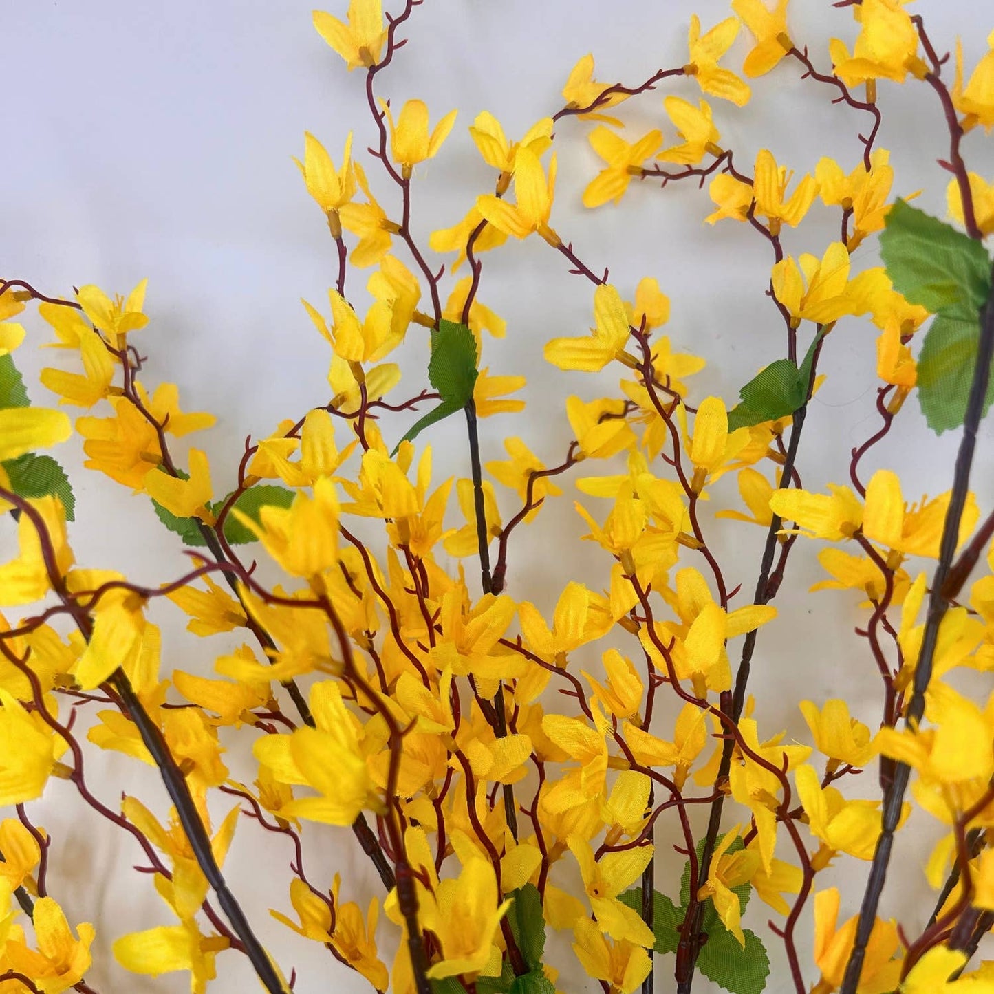 Star Blossom Bush x 7 - 24” - Yellow