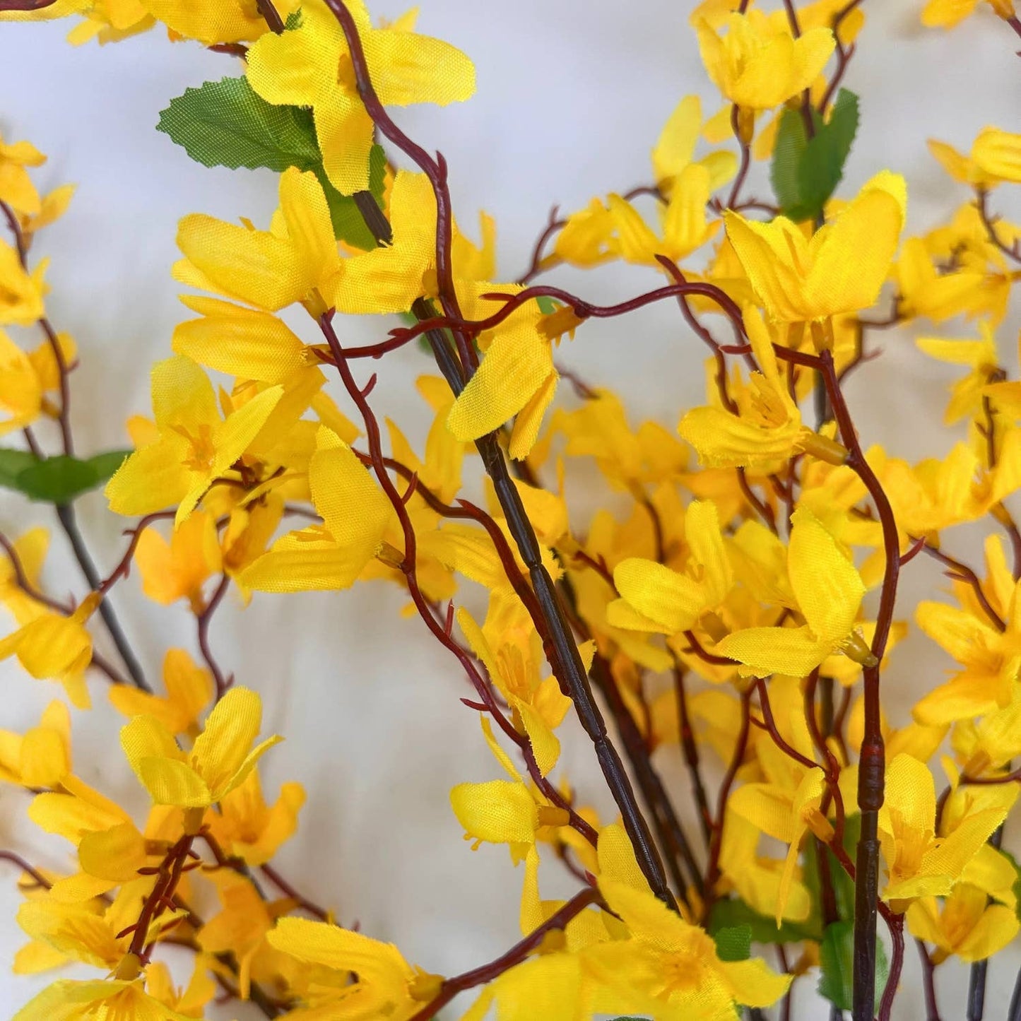 Star Blossom Bush x 7 - 24” - Yellow