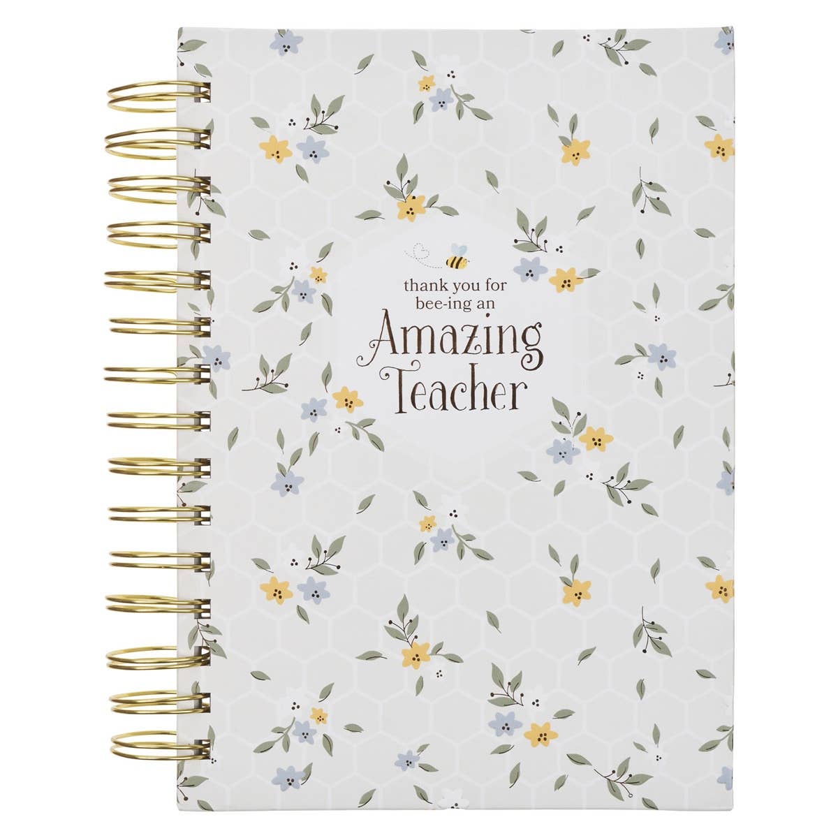 Journal Spiral-bound Amazing Teacher