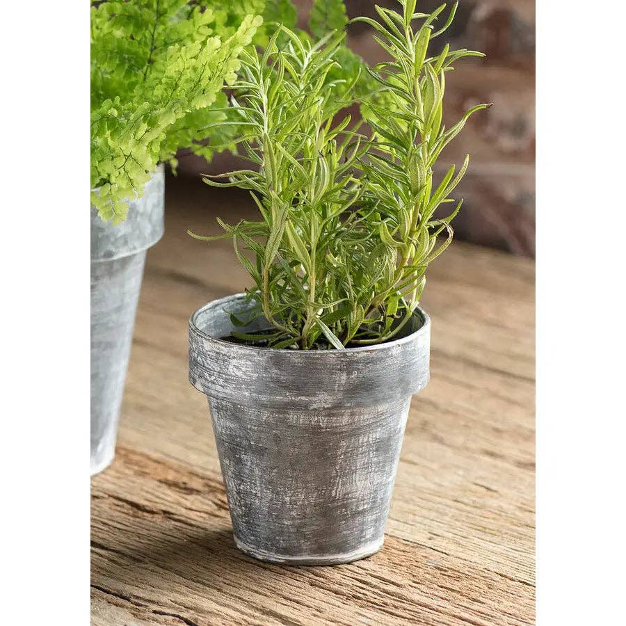 Zinc Flower Pot: Large