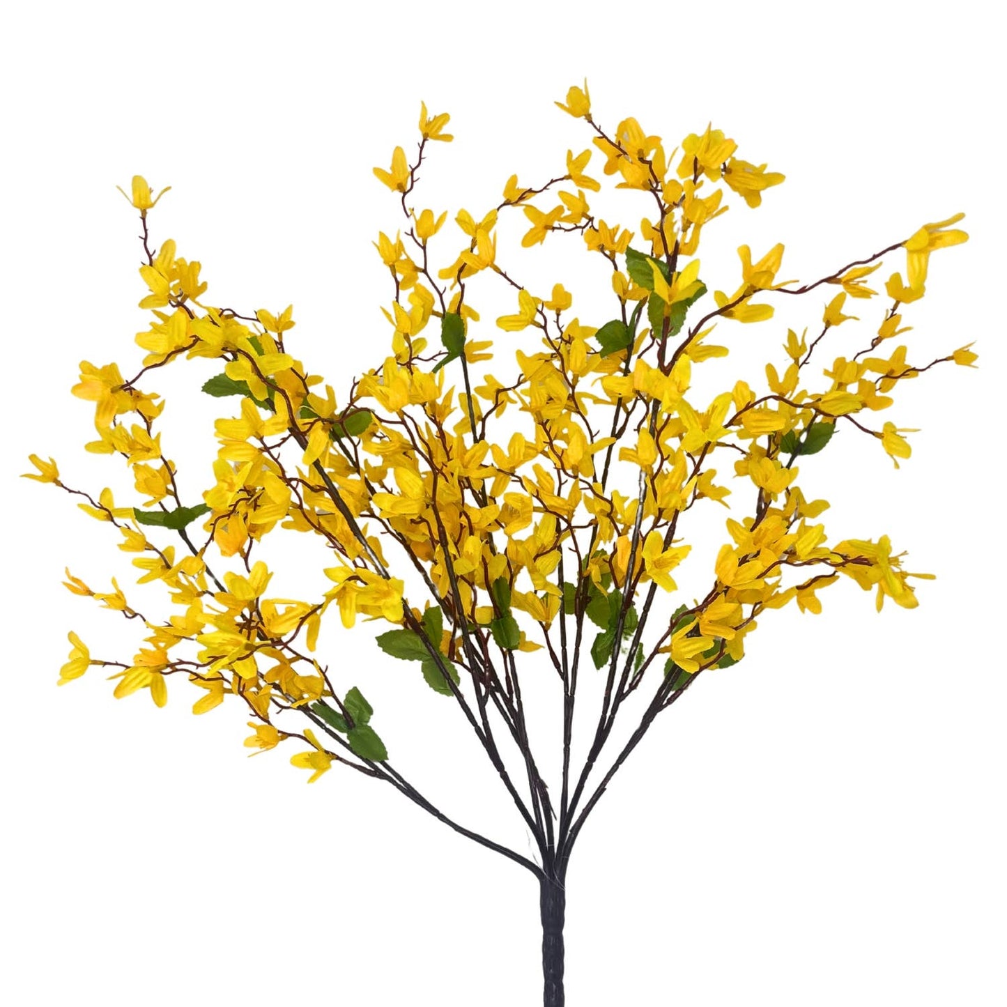 Star Blossom Bush x 7 - 24” - Yellow