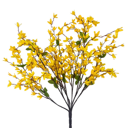 Star Blossom Bush x 7 - 24” - Yellow